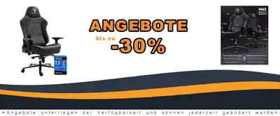 Dowinx Gaming Chair 200 kg Load Capacity - Comfort für Esport-Gamer