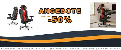 Ergonomische Gaming-Sessel Typhon - Eureka mit Adl. Lumbar- & Kopfstütze